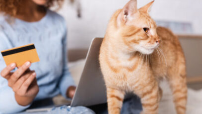 Fintechs apostam em nichos e mercado pet entra no radar