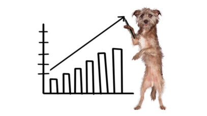 mercado de pet shops