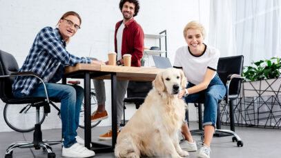 Faturamento do mercado pet pode ser o dobro do atual