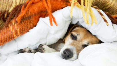 queda de pelos no frio