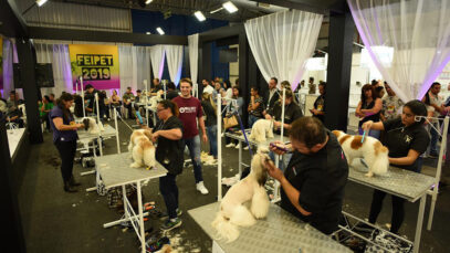 Feira de negócios estimula capacitação no mercado pet