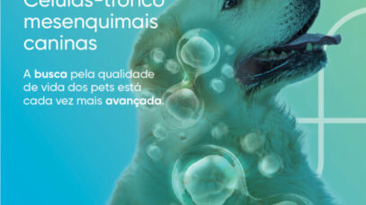 células-tronco para cães