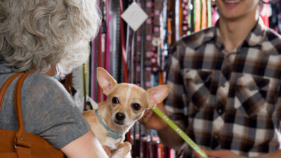 Mercado pet deve ter alta de 14% em 2022