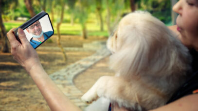 Conselho Federal regulamenta a telemedicina veterinária