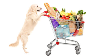 pets em supermercados