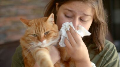 alergia a gatos