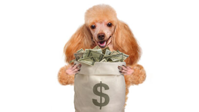 Mercado de ração animal é alvo de investimentos bilionários