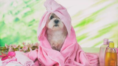 Cosméticos para pets