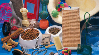 Exportações do mercado pet brasileiro crescem 600%