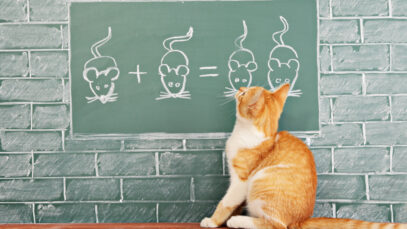 pós-graduação em veterinária