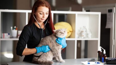 Leishmaniose Visceral Canina