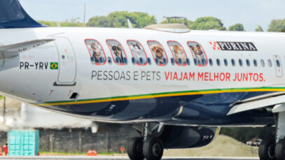 Purina e Azul realizam parceria inédita e passam a oferecer snacks gratuitos para pets a bordo
