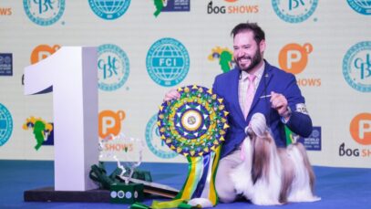 Melhor Cão do Mundo