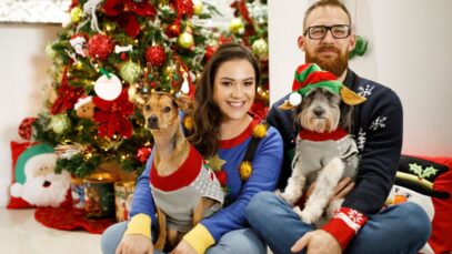 alimentação dos pets