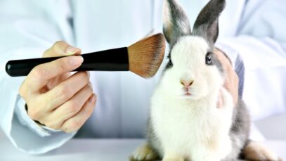 testes em animais para cosméticos