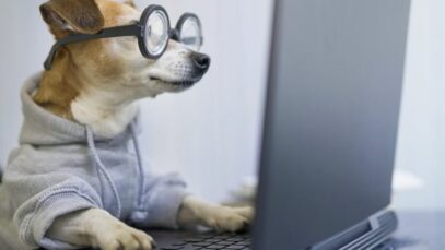 Pet shops ampliam vendas online em 130%