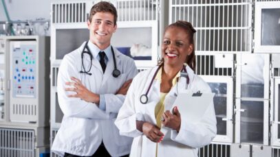 médicos-veterinários