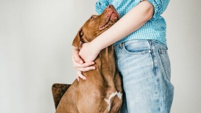 Centro veterinário WeVets otimiza a operação em até 40% com apoio da Beyondsoft Brasil