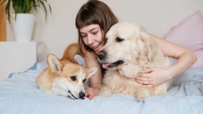 Riscos de dormir com cães no inverno