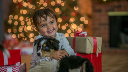 Quer ter um cachorro? Não perca essas dicas