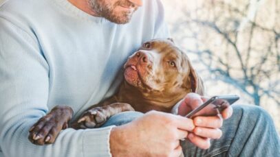 Gastos médios dos tutores por mês totalizam R$ 450