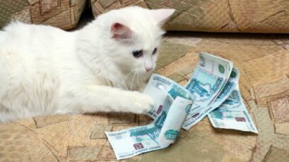 Indústria pet prevê expansão de 10,6% no ano