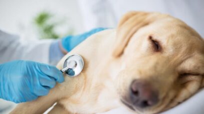 doenças oncológicas