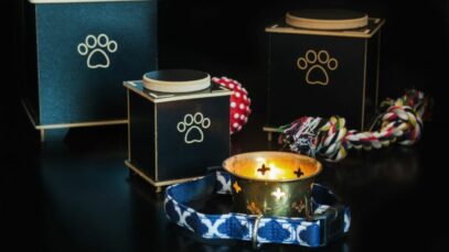 enterro correto dos pets