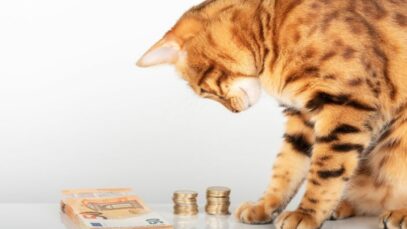 Distribuidoras pet debatem futuro do setor em convenção