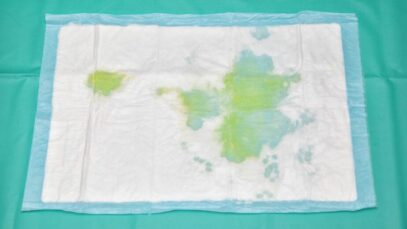 Tapete higiênico para pet