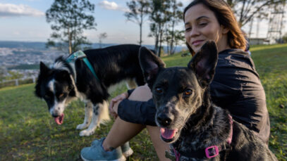 Número de lares com pets supera o de com crianças
