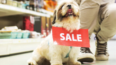 Projeto que proíbe venda de animais é inconstitucional