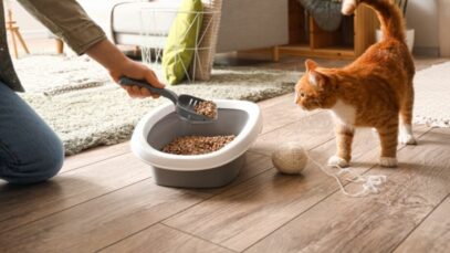 Limpeza da caixa de areia