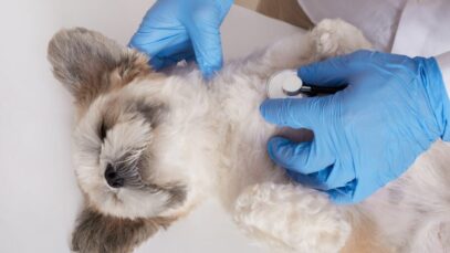 exames cardiológicos