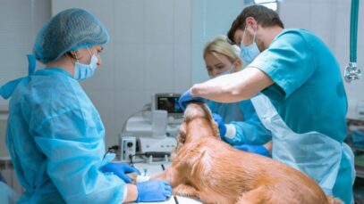 Universidade Anhembi Morumbi