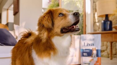 ração super premium