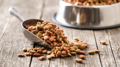 Governo proíbe aumento de impostos sobre rações