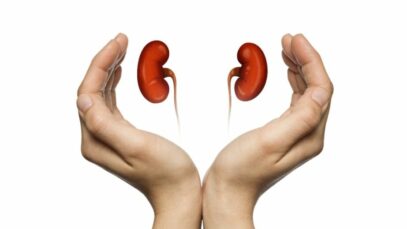 doenças renais em cães e gatos