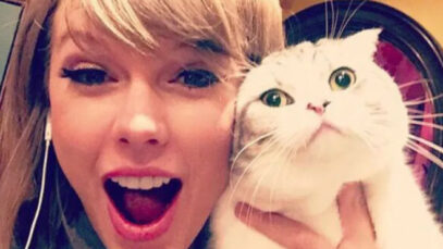 Gata da Taylor Swift