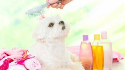 perfume para cachorro