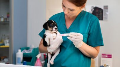 chat GPT na medicina veterinária