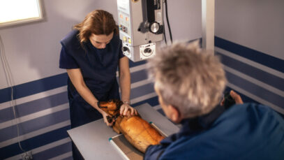 Empreendedora pet recebe prêmio do Sebrae