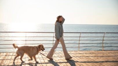 melhores horários para passear com pets
