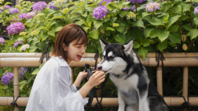 Conheça o país que lidera aposta em tecnologia para pets