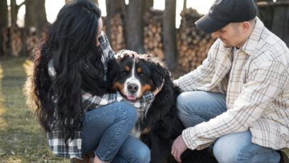 Cães oferecem conforto emocional único, revelam estudos