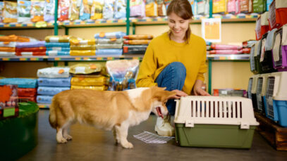 Gastos de brasileiros com pets