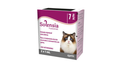 osteoartrite em gatos