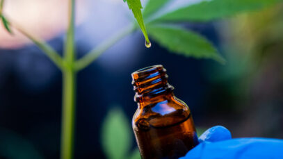 cannabis na medicina veterinária