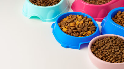 Ração para animais