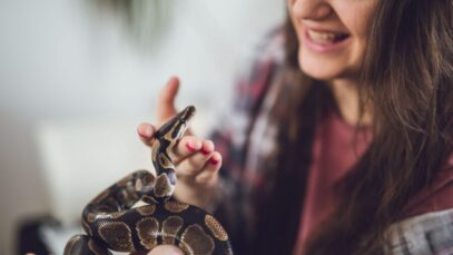 cobra como animal de estimação